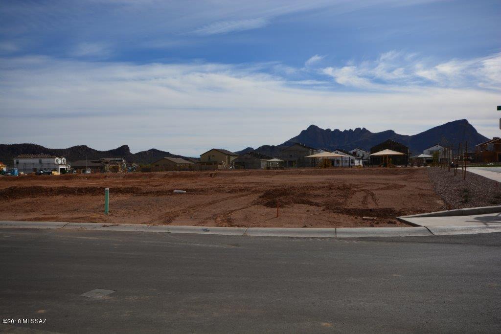 9863 North Howling Wolf Road Marana, AZ 85653 - Photo 21 of 27