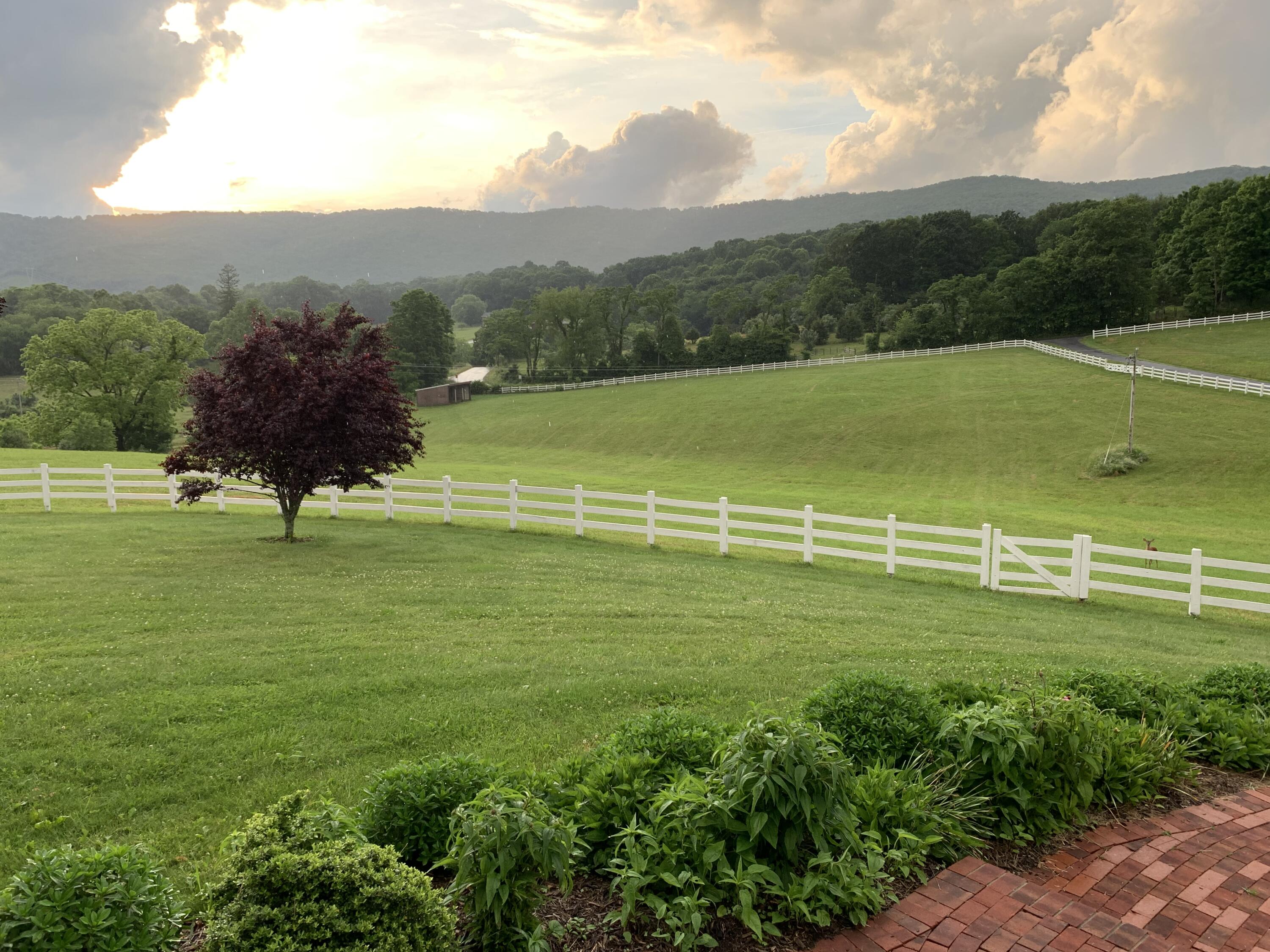 8370 Newport Road Catawba, VA 24070 - Photo 6 of 97 Horses Permitted