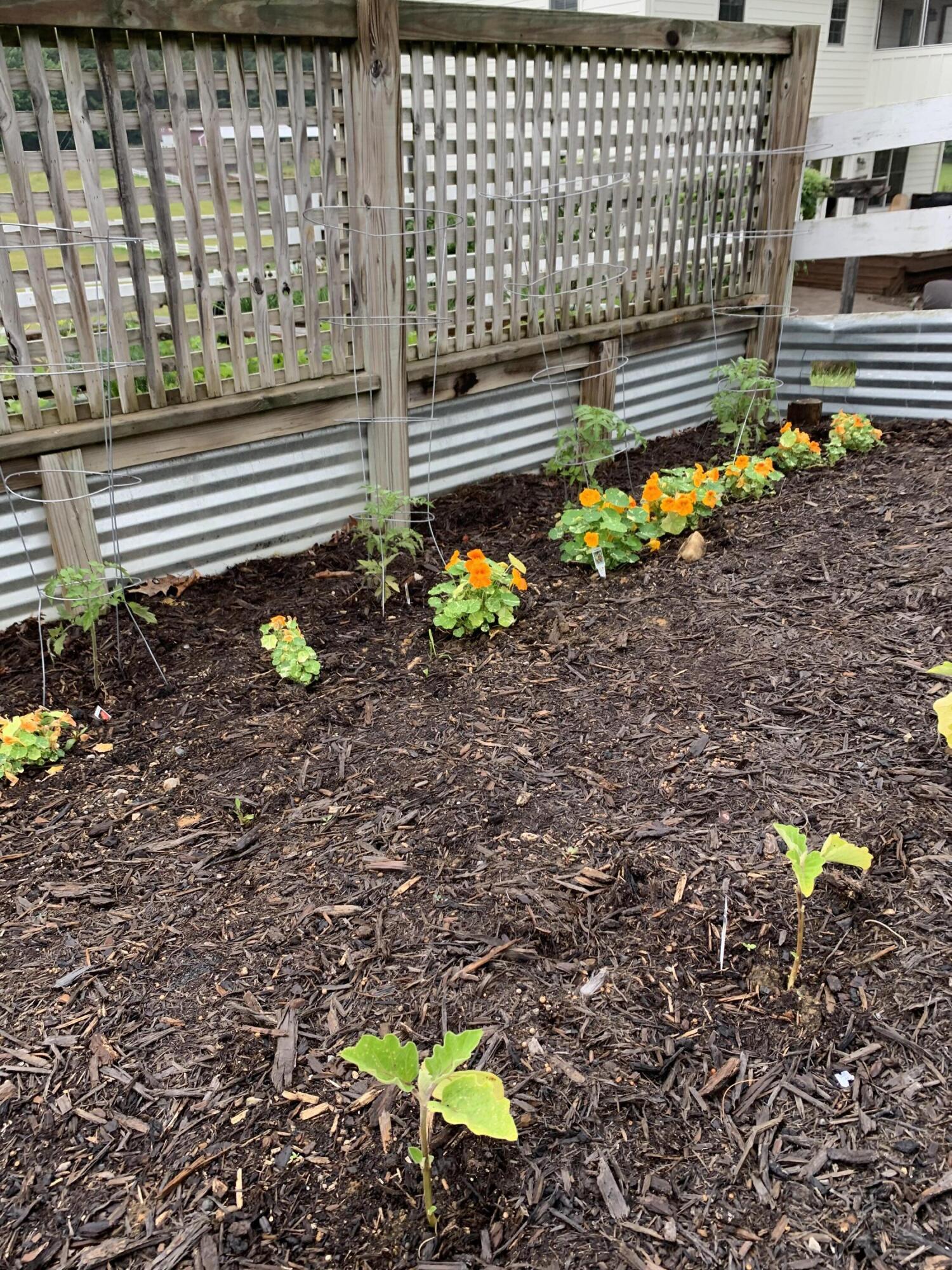 8370 Newport Road Catawba, VA 24070 - Photo 85 of 97 Gardens
