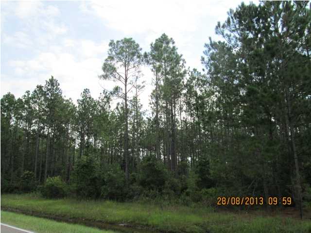 18611 Parham-Grantham Road Clarksville, FL 32430 - Photo 1 of 1