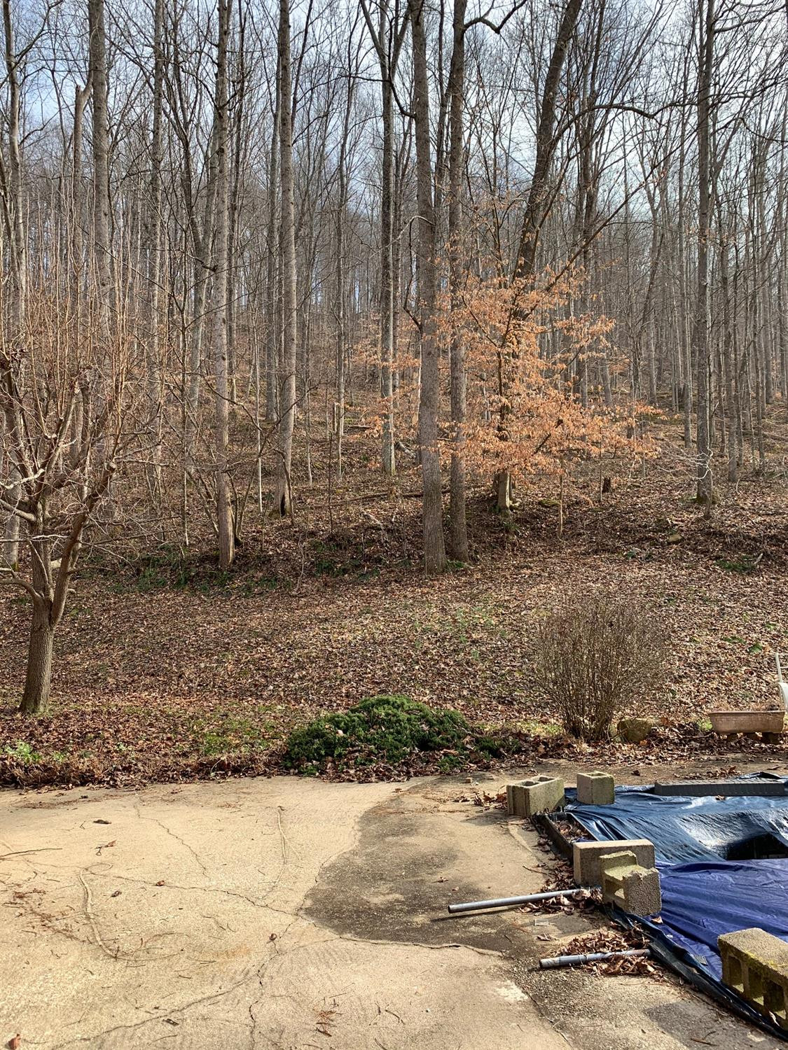 1003 Hazel Branch Road Vanceburg, KY 41179 - Photo 12 of 29 Photo 12