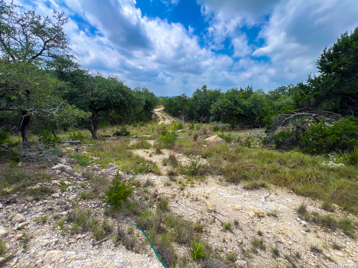 119 Champion Way Spring Branch, TX 78070 - Photo 5 of 22