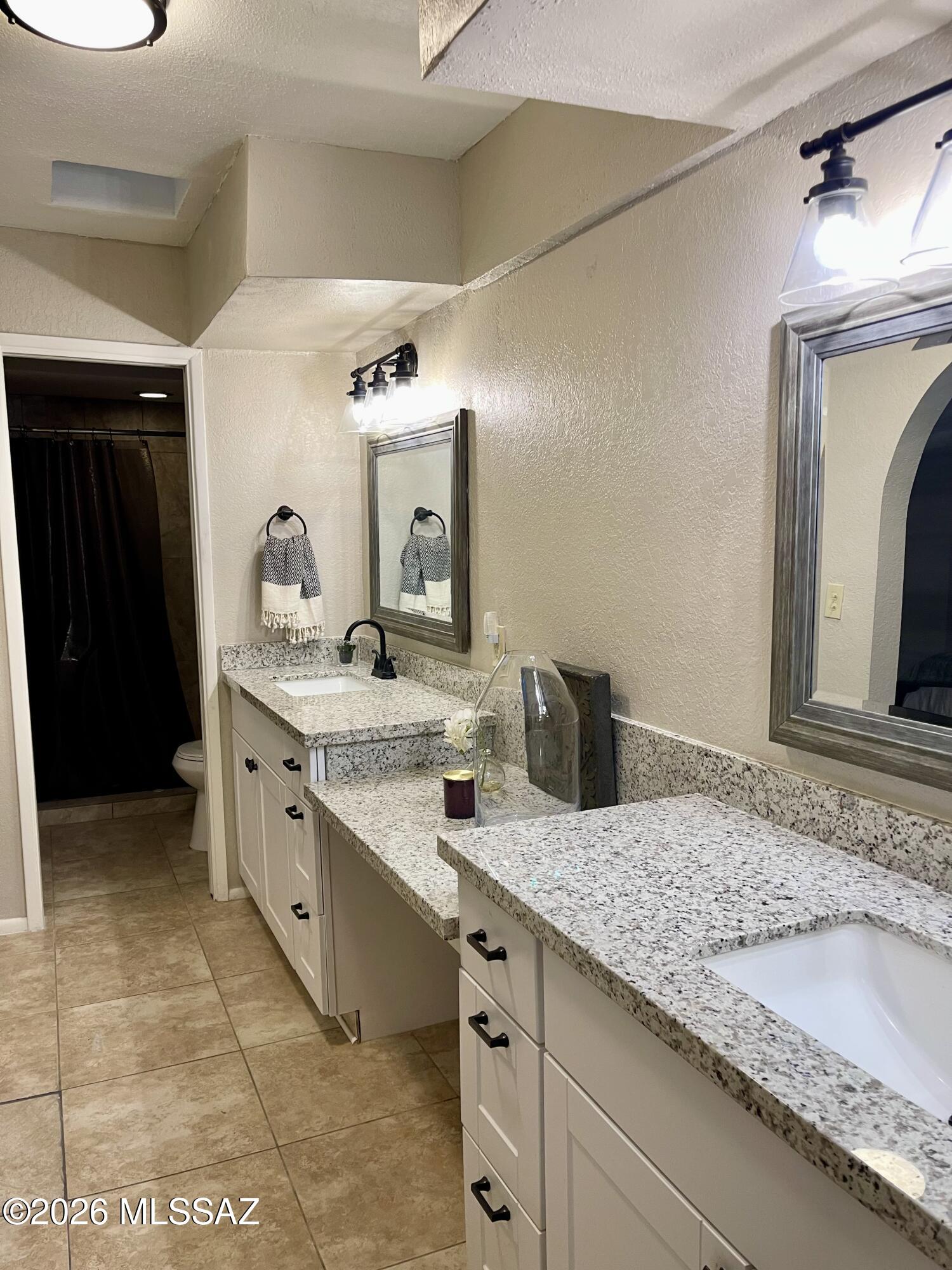 2434 North Shade Tree Circle Tucson, AZ 85715 - Photo 15 of 20 looking in to walk in shower