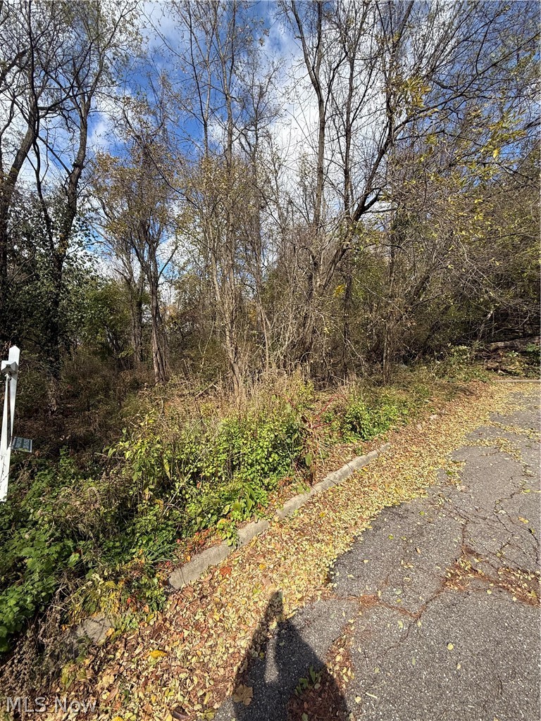 Harding Street Struthers, OH 44471 - Photo 7 of 7 View of yard