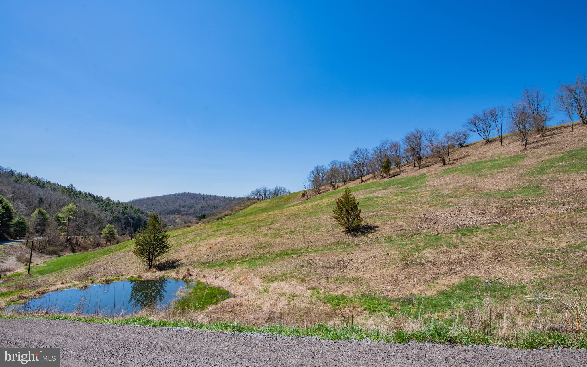718 Turkey Path Road Linden, PA 17744 - Photo 11 of 65 Lower Pond