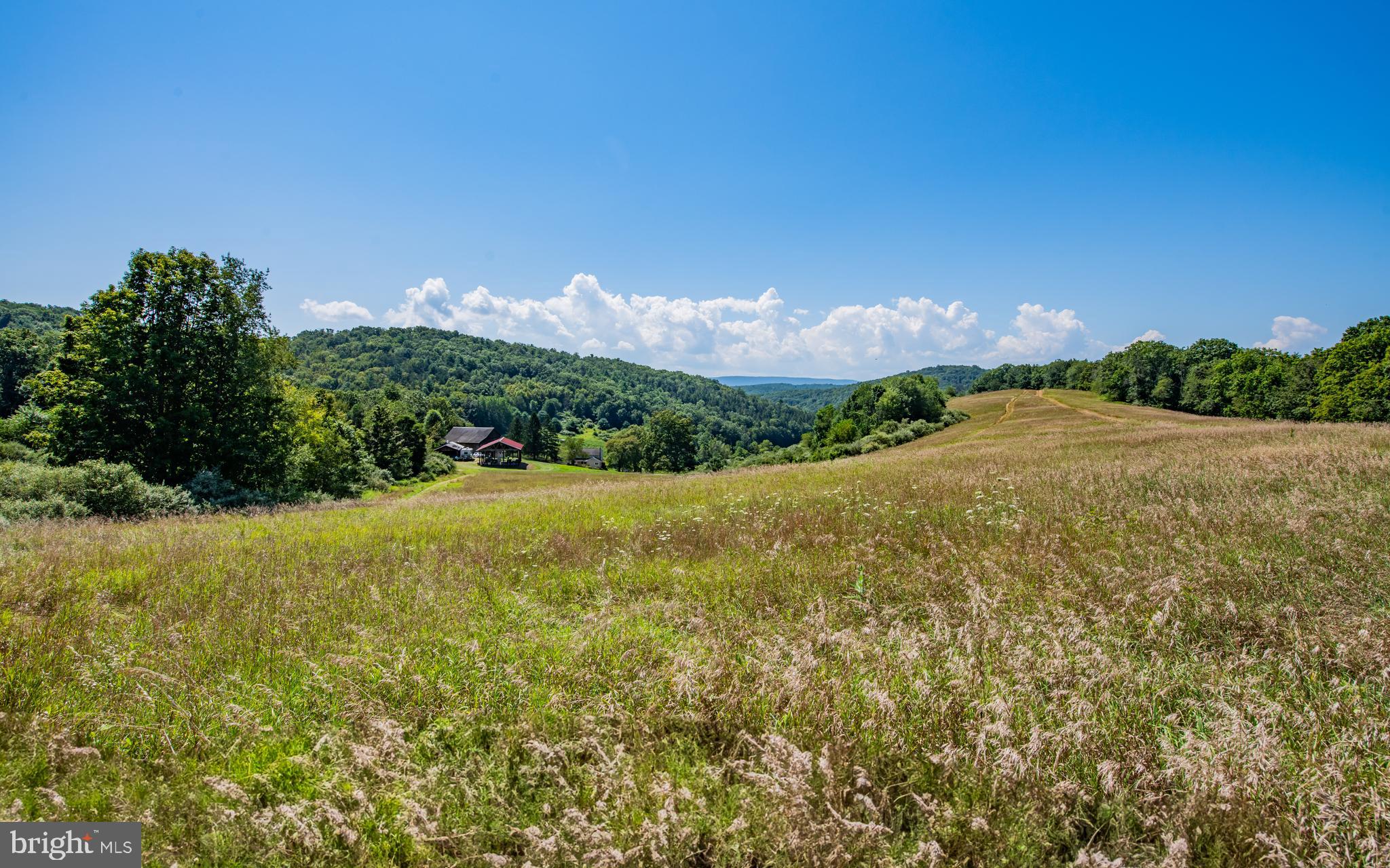718 Turkey Path Road Linden, PA 17744 - Photo 14 of 65 Fields