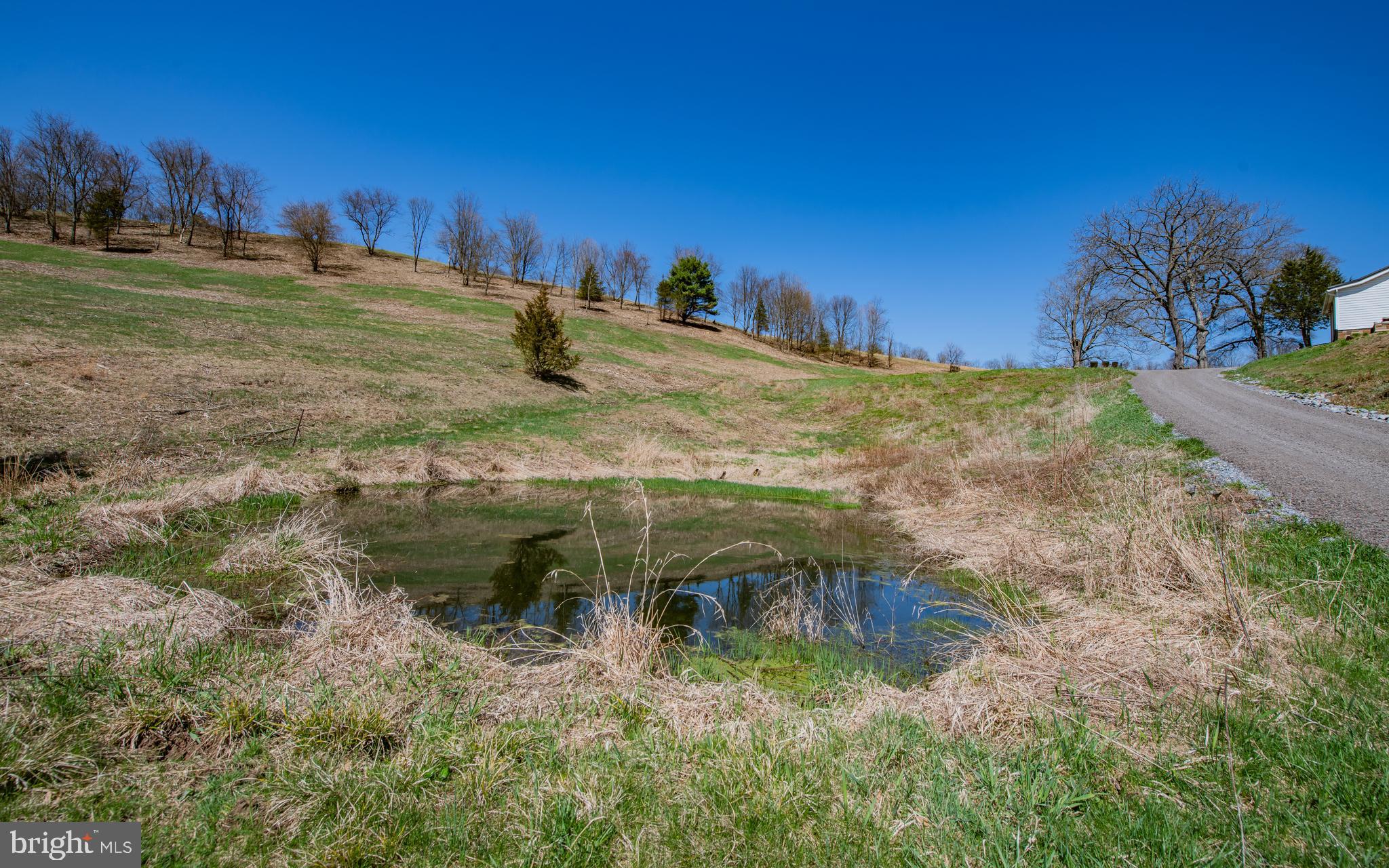 718 Turkey Path Road Linden, PA 17744 - Photo 5 of 65 Lower Pond