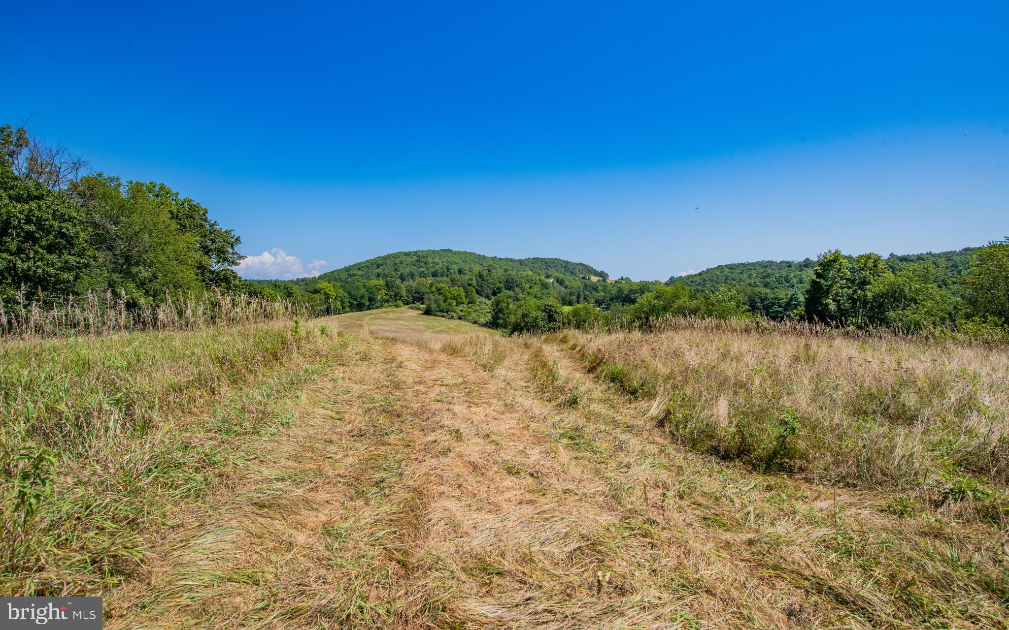 718 Turkey Path Road Linden, PA 17744 - Photo 61 of 65 Fields