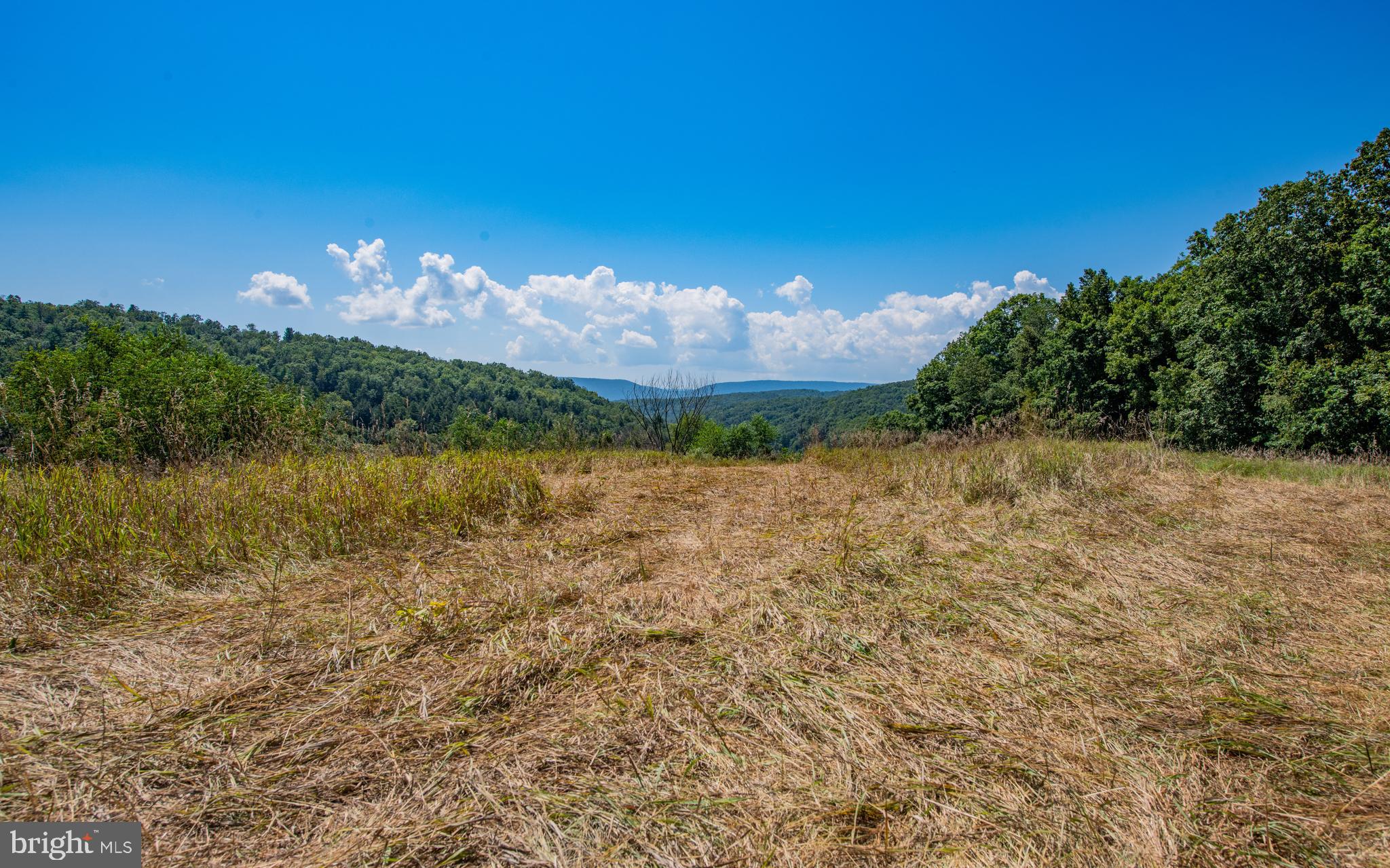 718 Turkey Path Road Linden, PA 17744 - Photo 62 of 65 Fields