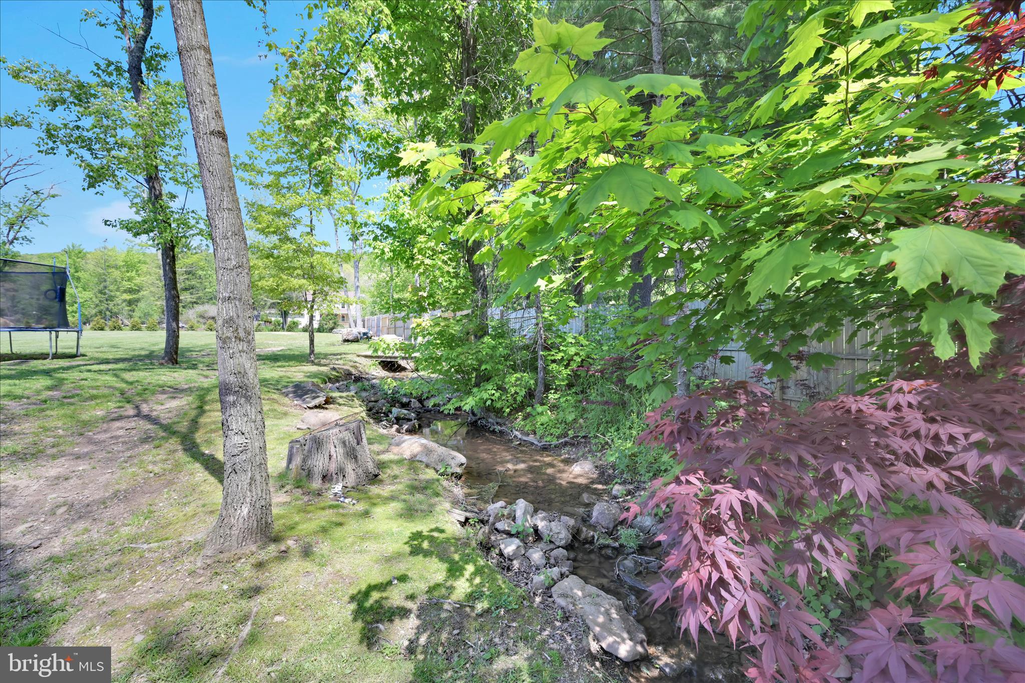 113 Ben Titus Road Tamaqua, PA 18252 - Photo 45 of 53 Backyard