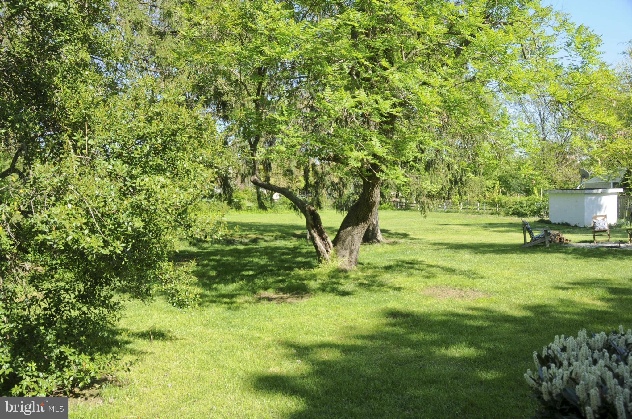 138 Woodberry Road Northeast Leesburg, VA 20176 - Photo 30 of 30 Exterior (Rear)