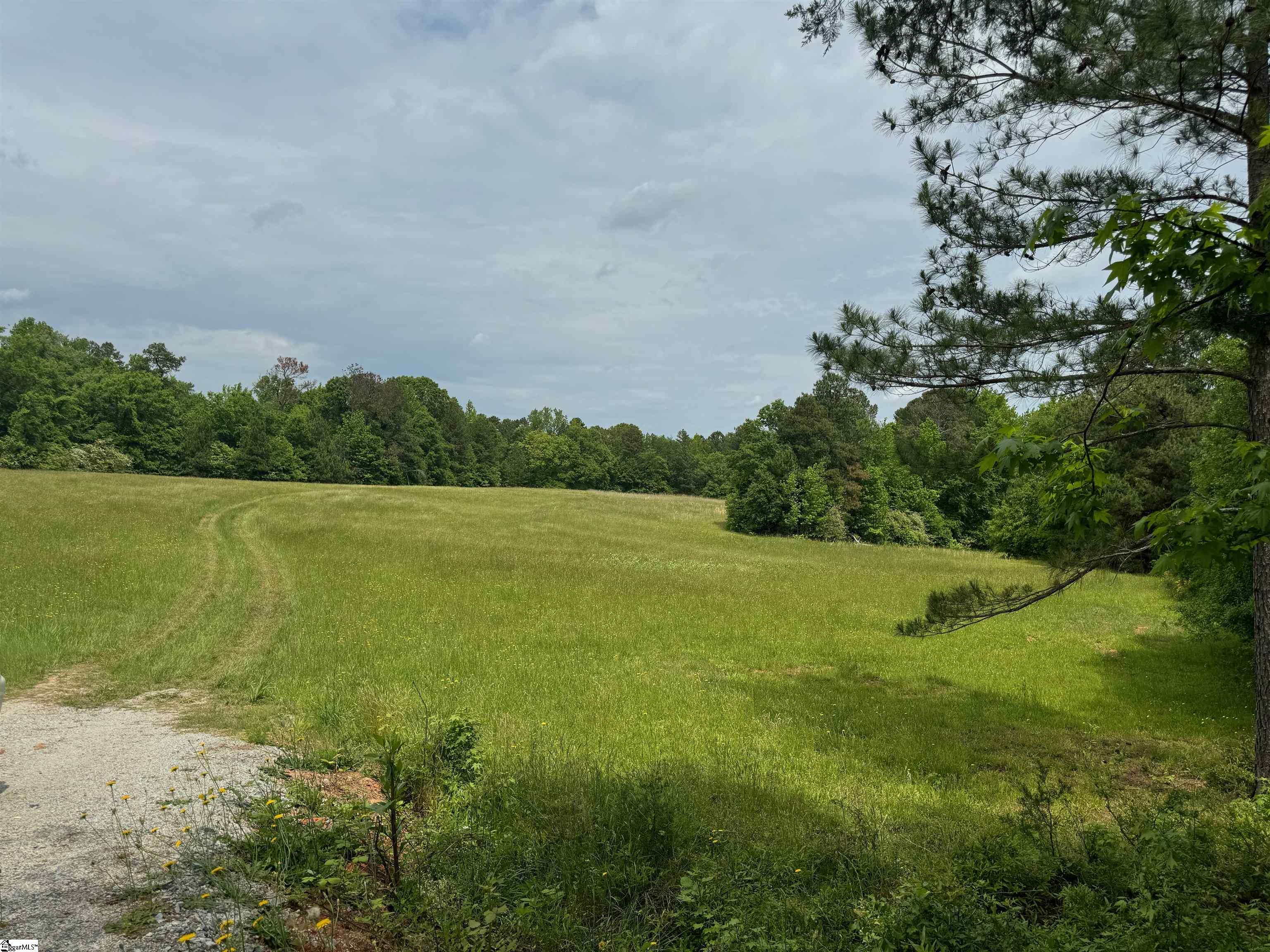 1379 Wilsontown Road Laurens, SC 29360 - Photo 11 of 27
