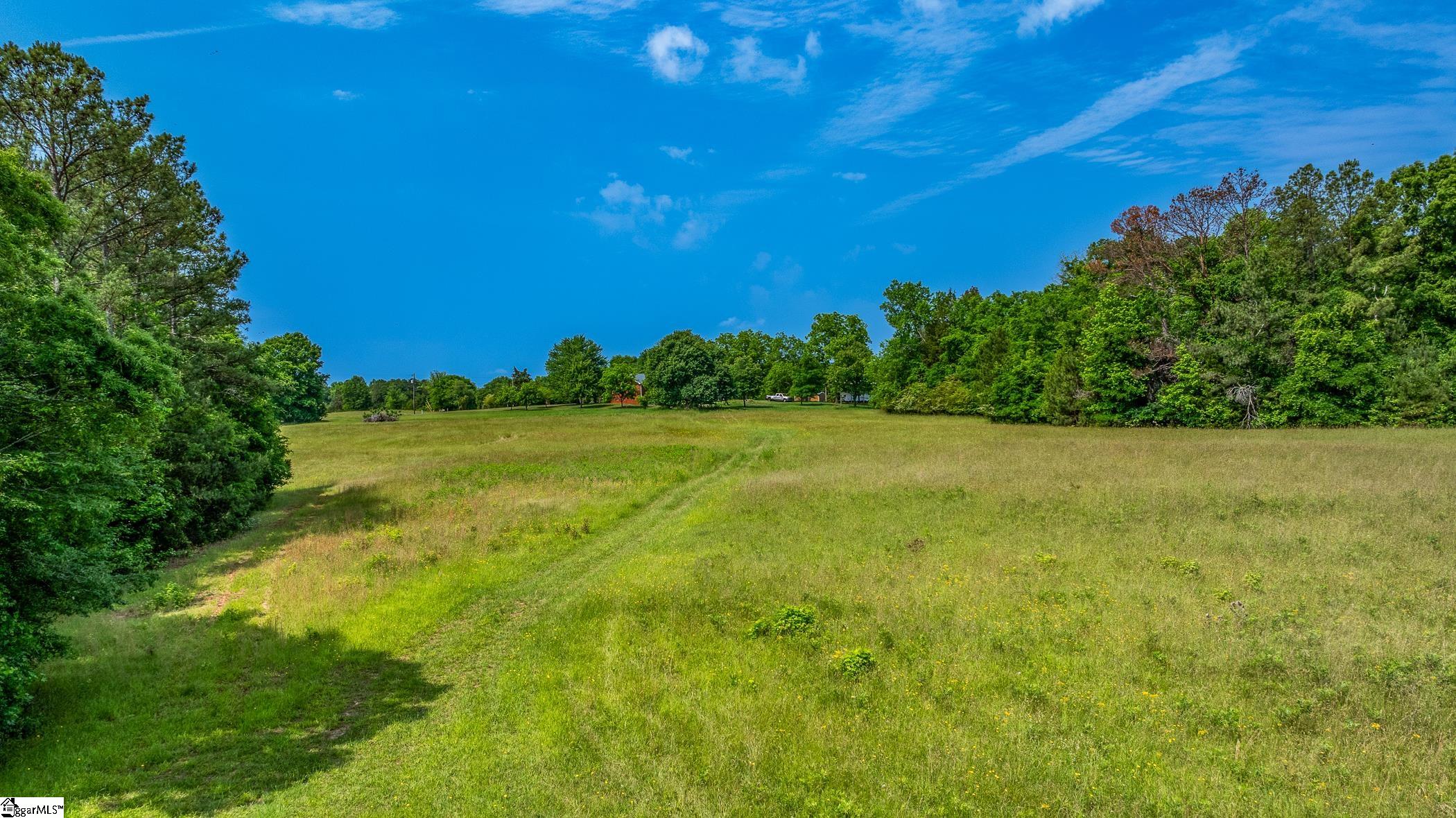 1379 Wilsontown Road Laurens, SC 29360 - Photo 4 of 27