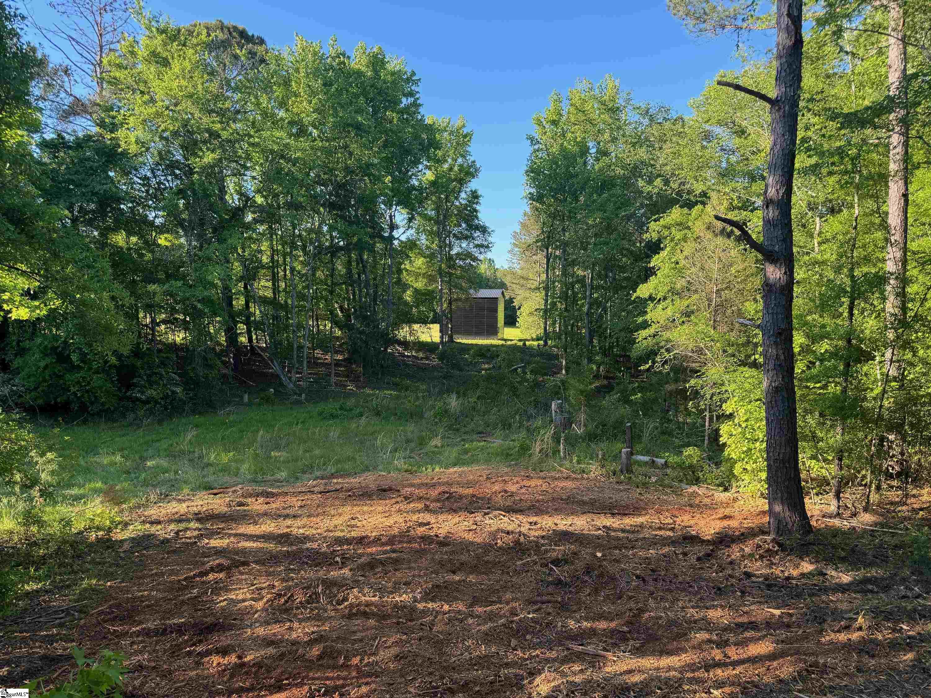1379 Wilsontown Road Laurens, SC 29360 - Photo 8 of 27