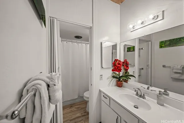 a bathroom with a sink vanity mirror and shower