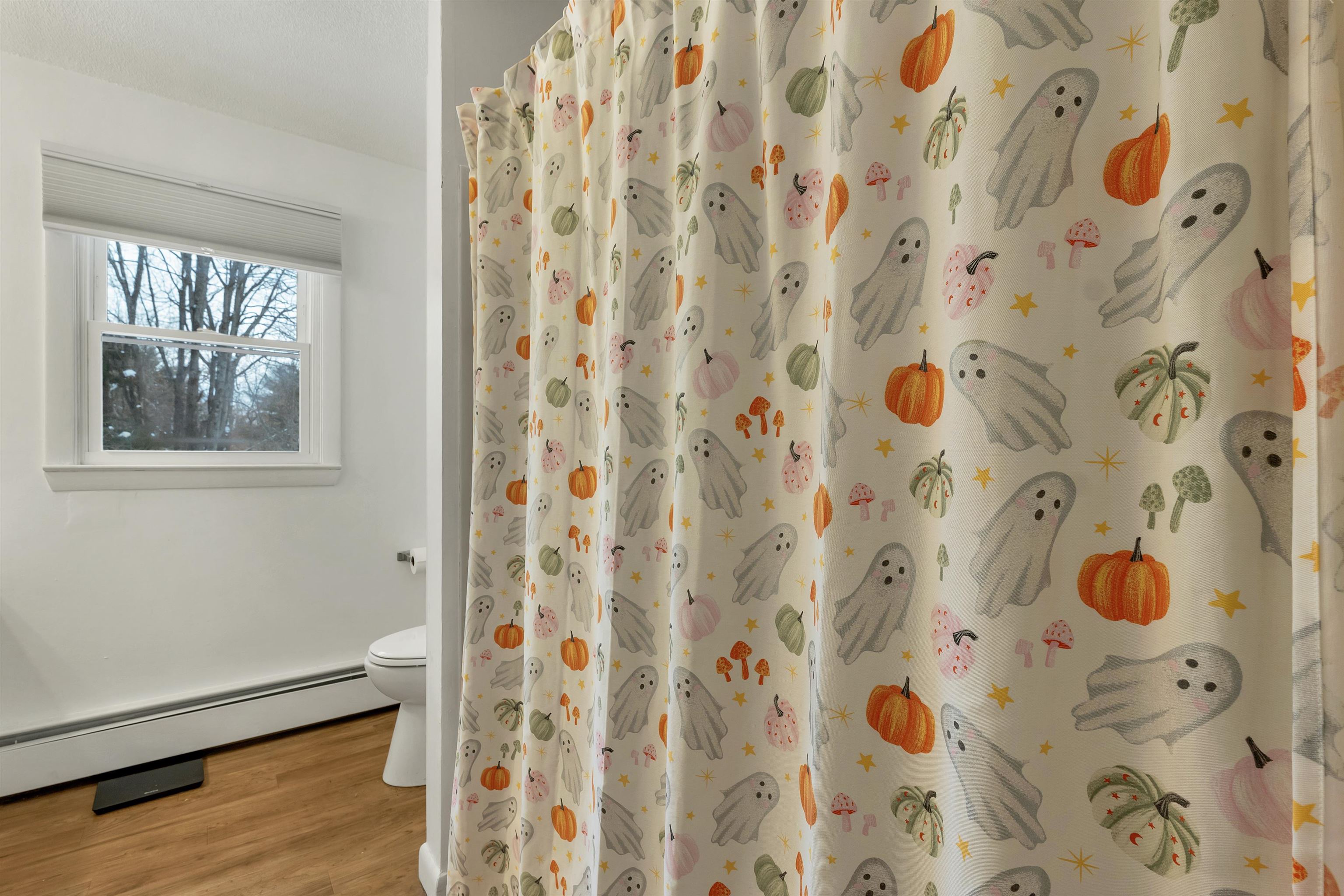 38 Lynnewood Road Laconia, NH 03246 - Photo 51 of 60