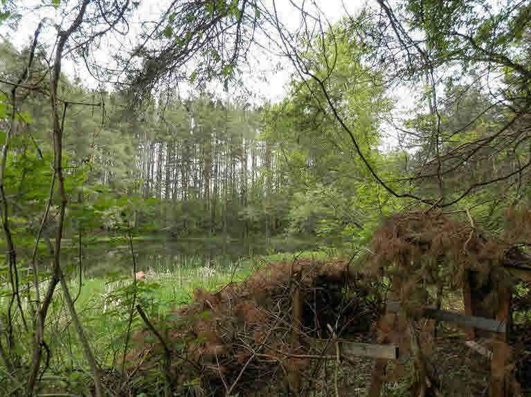 8428 O O'Connell Road Fenton, MI 48430 - Photo 14 of 18