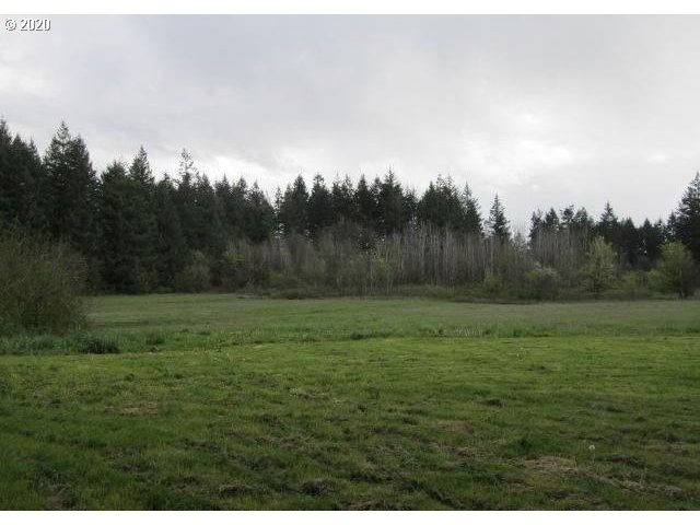 4309 Northeast 219th Street Ridgefield, WA 98642 - Photo 3 of 10