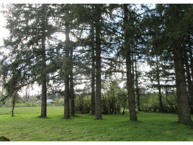 4309 Northeast 219th Street Ridgefield, WA 98642 - Photo 4 of 10