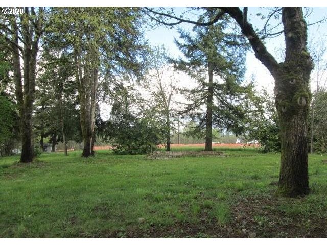 4309 Northeast 219th Street Ridgefield, WA 98642 - Photo 6 of 10