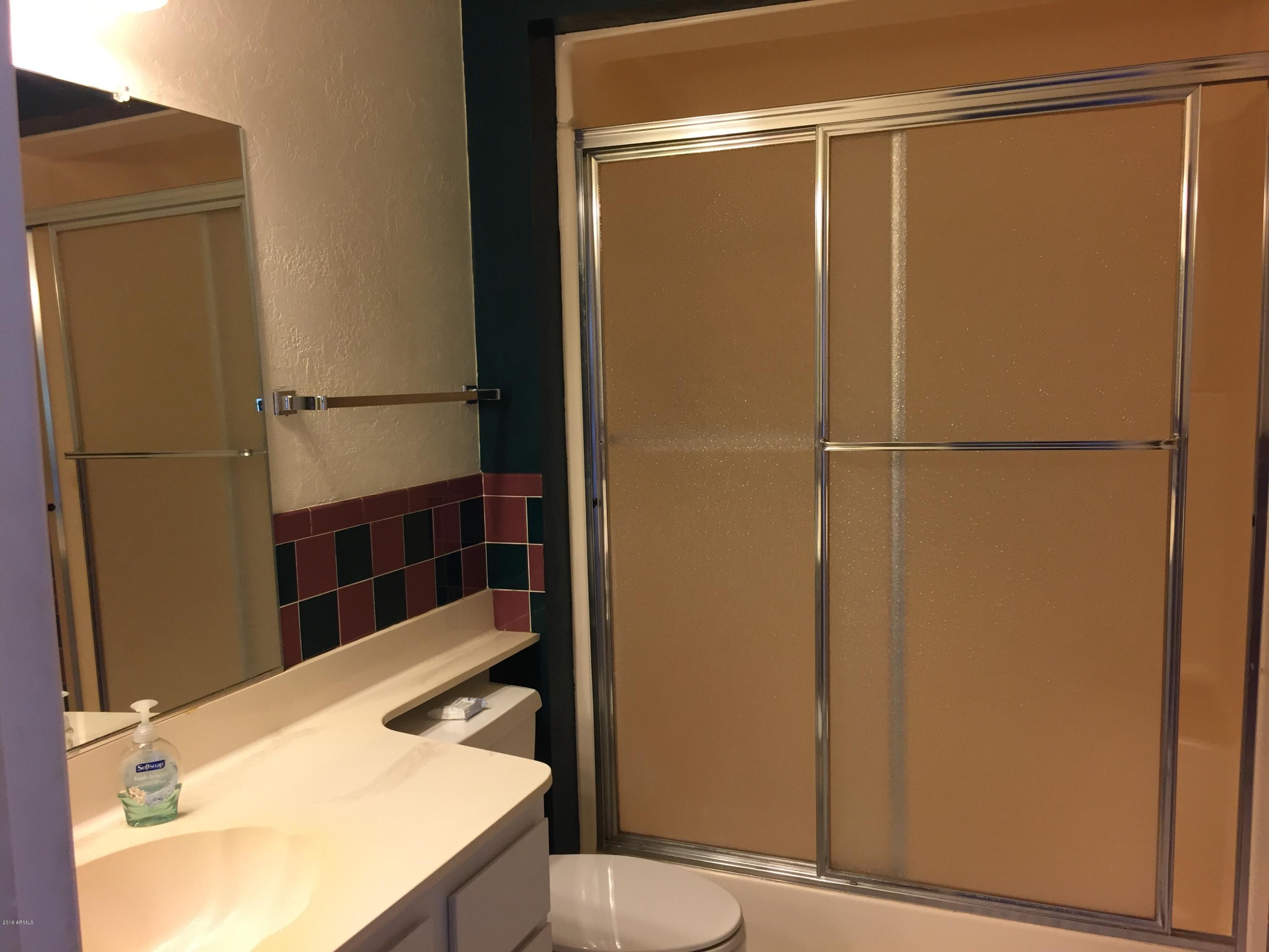 11074 West Oak Ridge Road Sun City, AZ 85351 - Photo 11 of 14 Master Bath