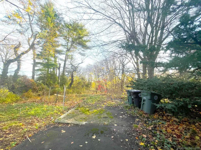 a view of a street with a tree