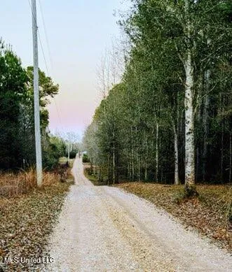 $262,500 | 0 Darron Hodge Lane, Poplarville, MS 39470