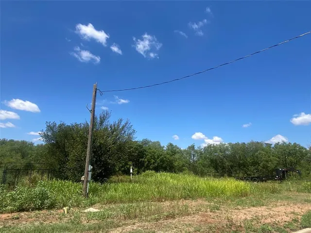 a view of a lake in middle of forest