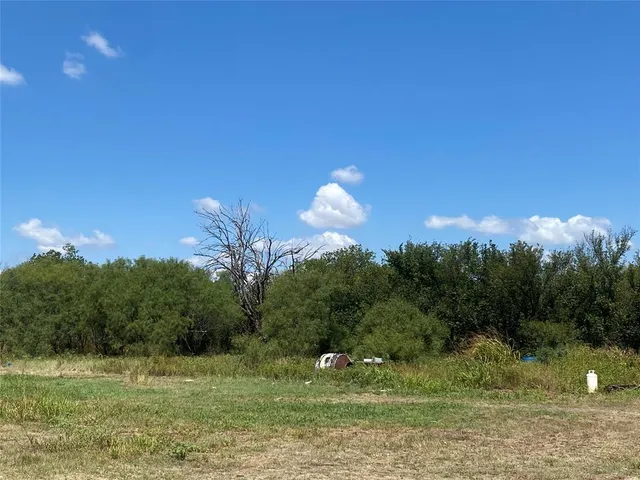 a view of a green yard