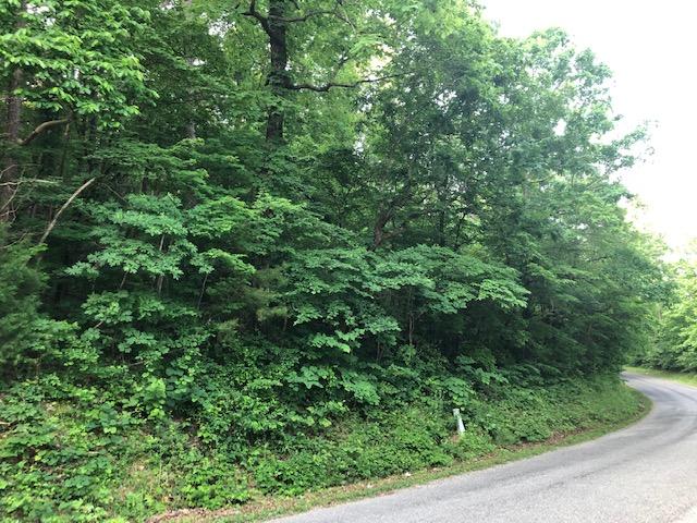 Sand Mountain Road Old Fort, TN 37362 - Photo 4 of 7 IMG_6911