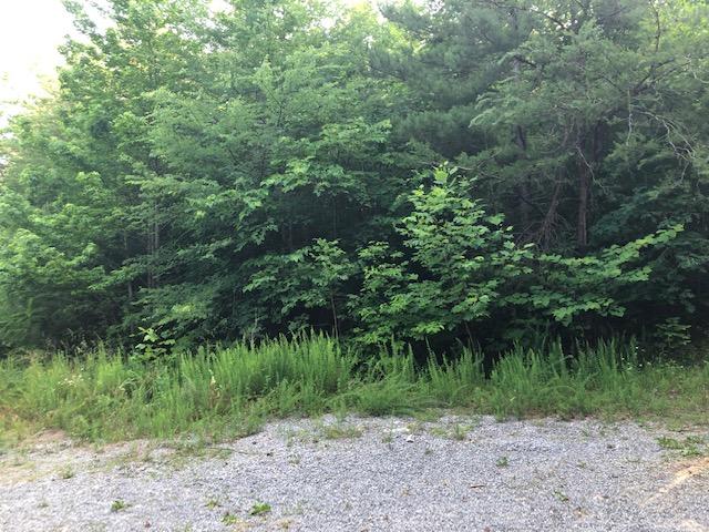 Sand Mountain Road Old Fort, TN 37362 - Photo 6 of 7 IMG_6913