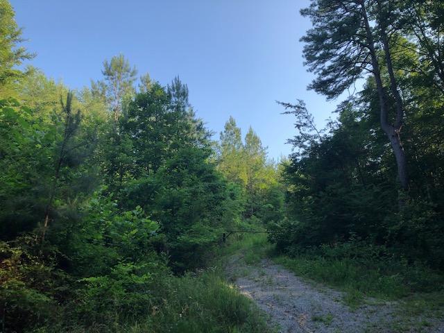 Sand Mountain Road Old Fort, TN 37362 - Photo 7 of 7 IMG_6914