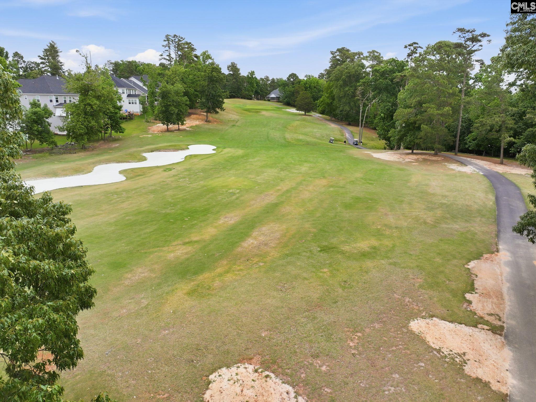 212 Bays End Court Chapin, SC 29036 - Photo 37 of 52