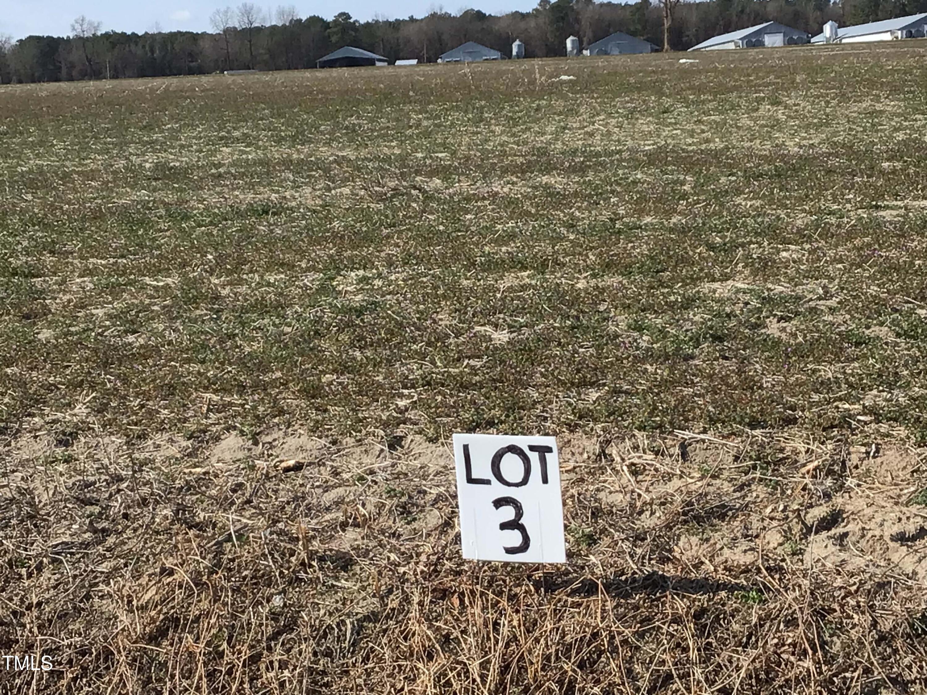 Lot 3 North Blizzardtown Road Pink Hill, NC 28572 - Photo 1 of 6 Lot 3 (3)