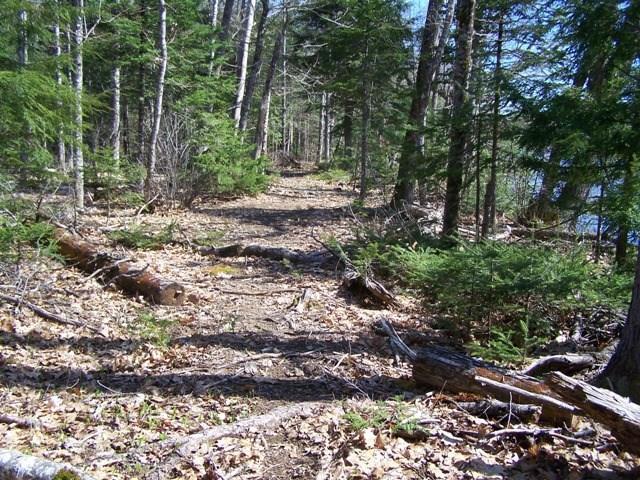 Tbd Tbd River Road Mattawamkeag, ME 04459 - Photo 5 of 11 Photo