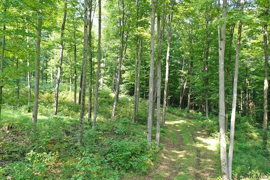 Ridge Road Rockwood, PA 15557 - Photo 4 of 22