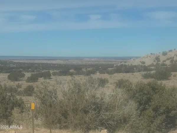 a view of a dry yard in front of a house