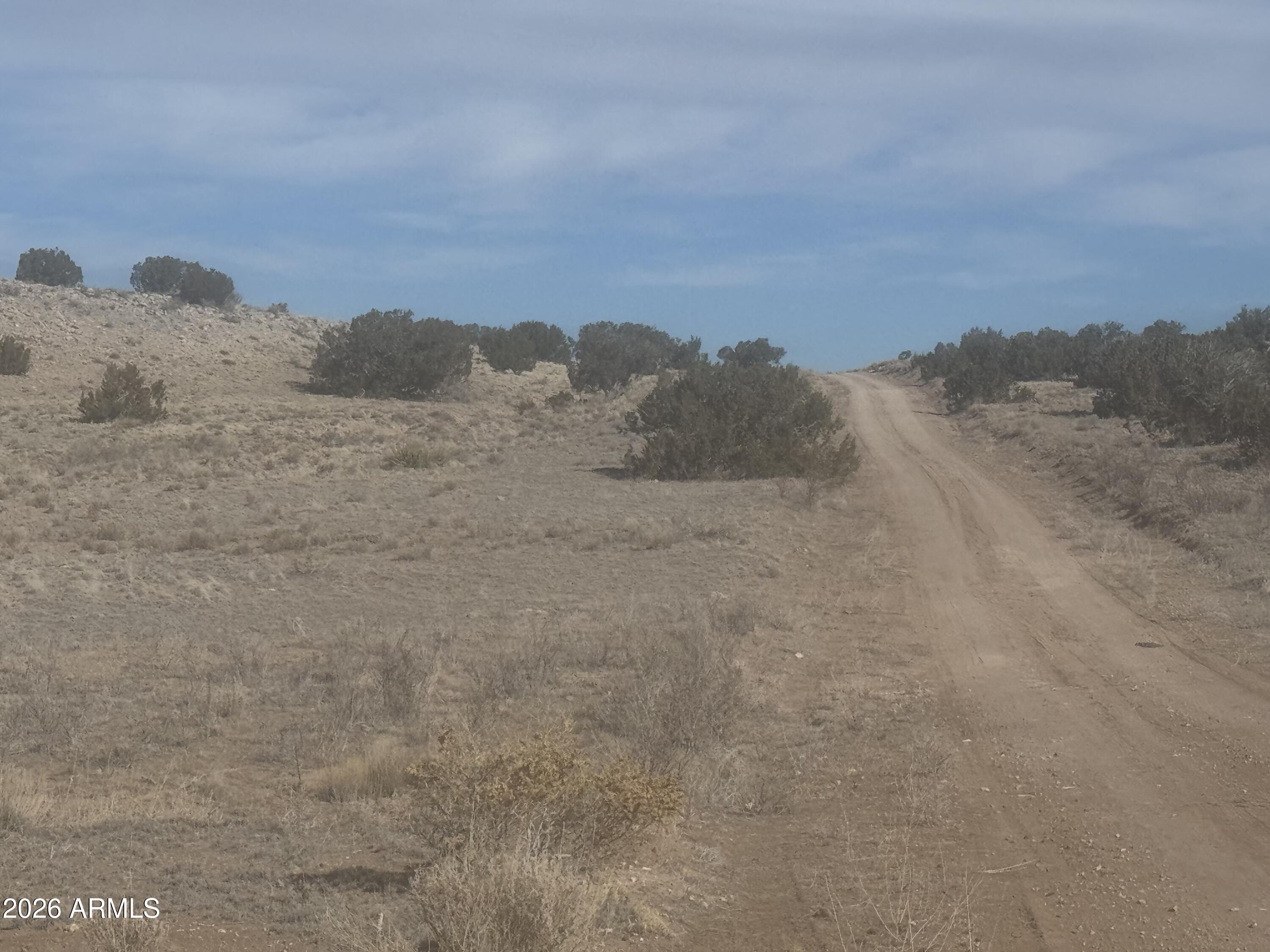 Lot 138 River Springs Ranch, Unit 138 St. Johns, AZ 85936 - Photo 4 of 15 IMG_0454