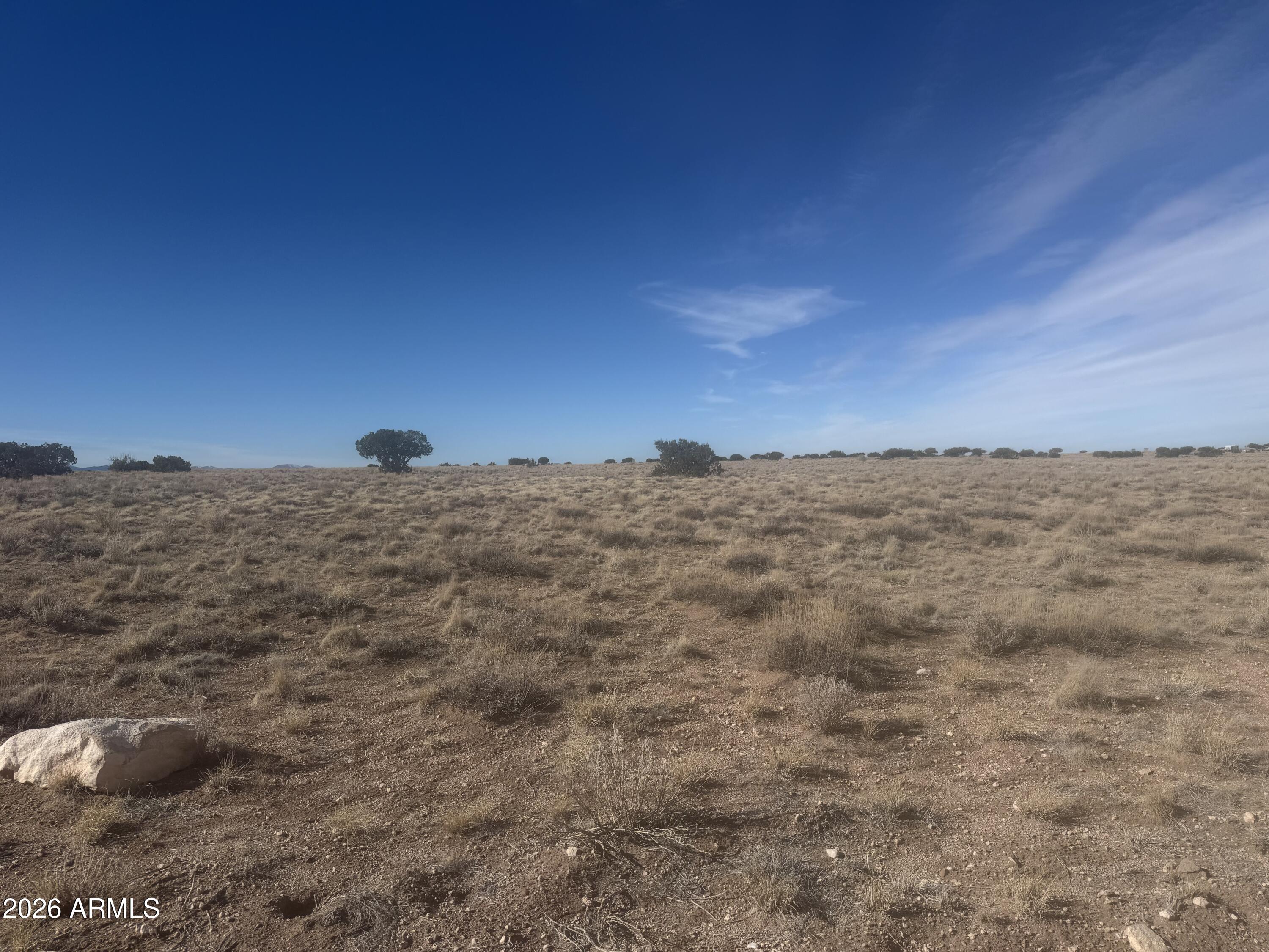 Lot 138 River Springs Ranch, Unit 138 St. Johns, AZ 85936 - Photo 5 of 15 IMG_0455