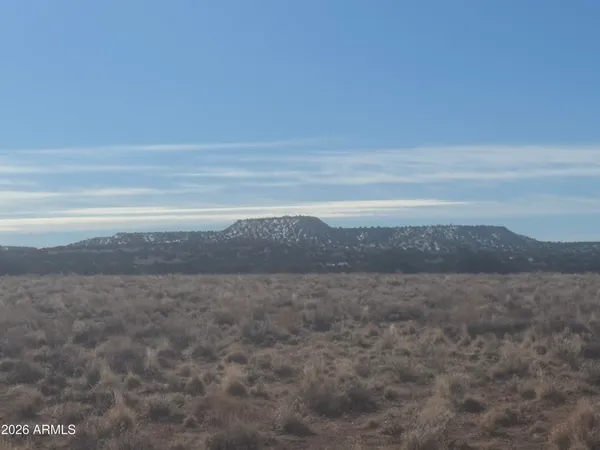 a view of ocean and mountain