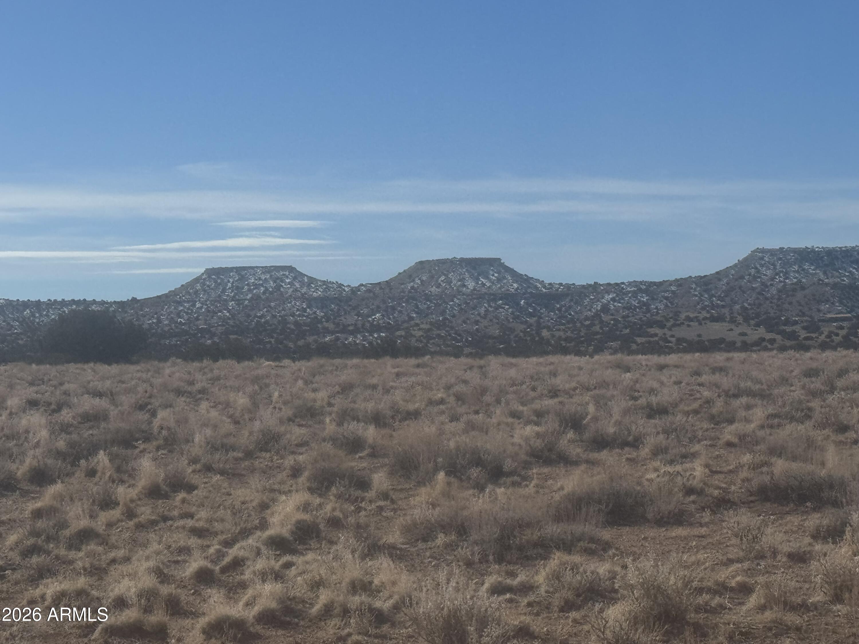 Lot 138 River Springs Ranch, Unit 138 St. Johns, AZ 85936 - Photo 7 of 15 IMG_0457