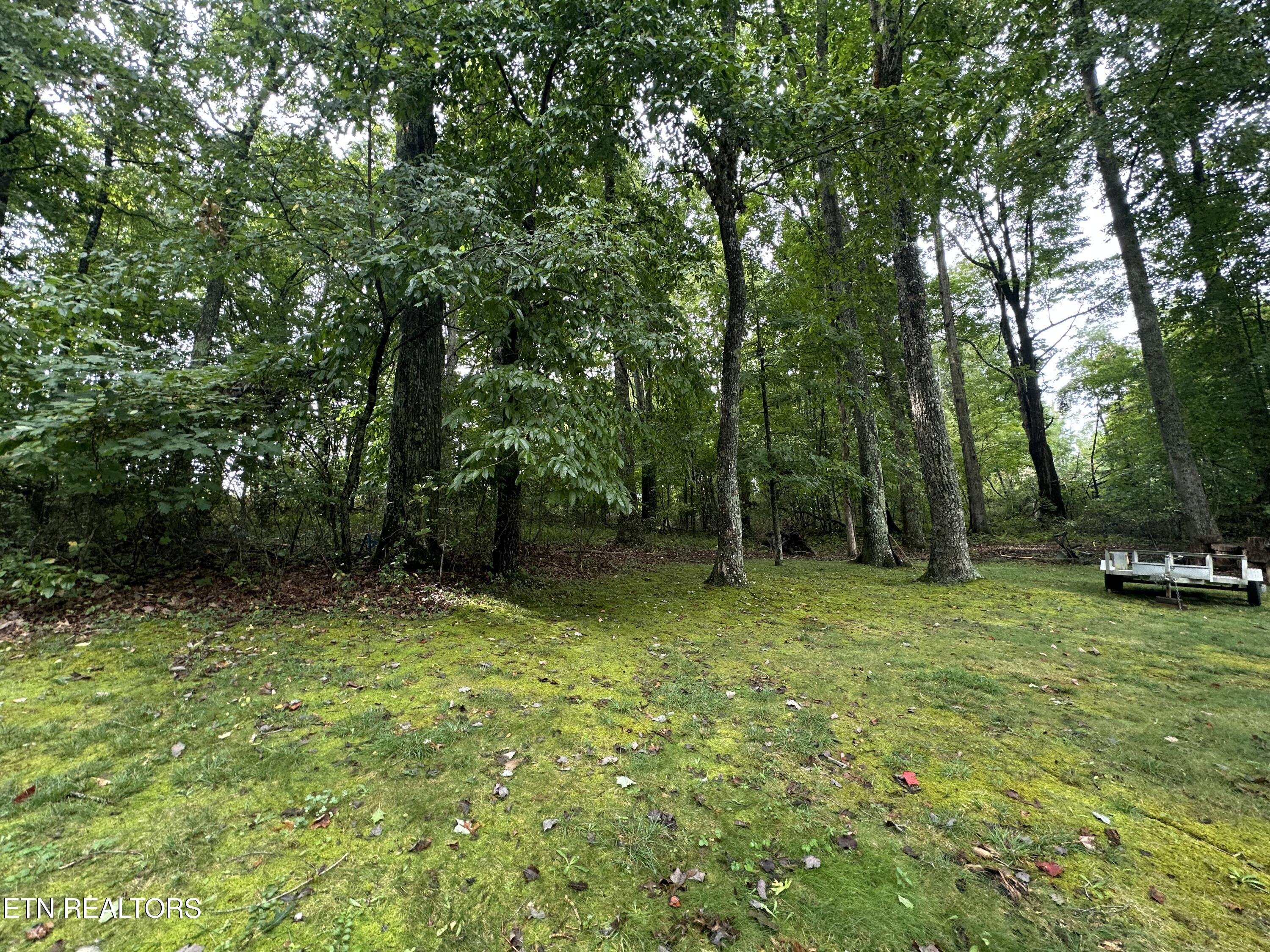 10514 Salem Road Wise, VA 24293 - Photo 21 of 30 IMG_7528