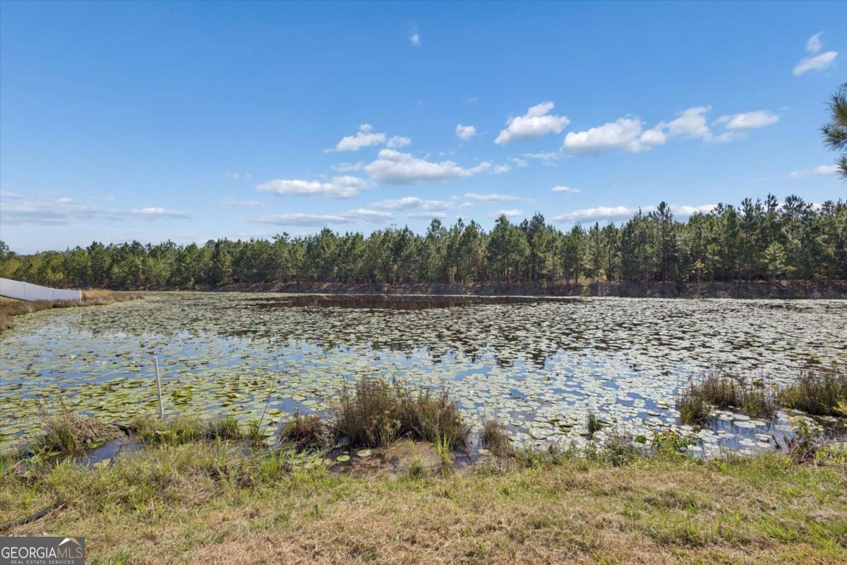 455 Tondee Way Midway, GA 31320 - Photo 48 of 52 a view of a lake with mountains in the background