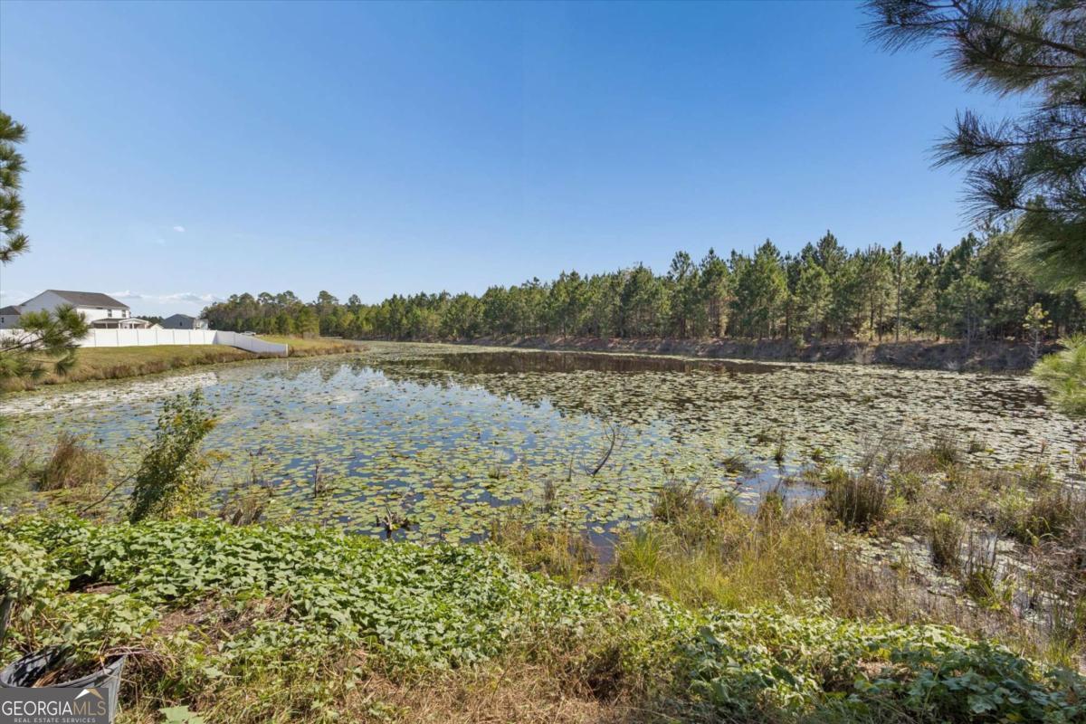 455 Tondee Way Midway, GA 31320 - Photo 49 of 52 a view of a lake with houses in the back