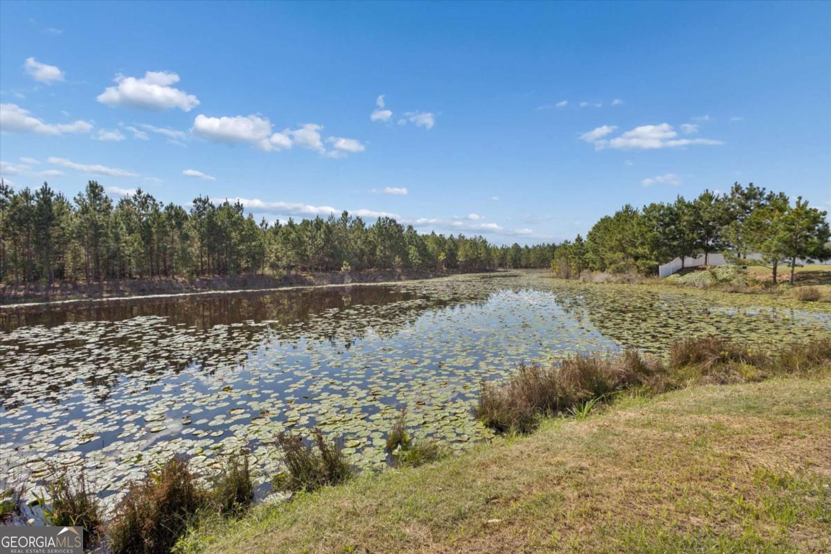 455 Tondee Way Midway, GA 31320 - Photo 52 of 52 a view of lake with green space