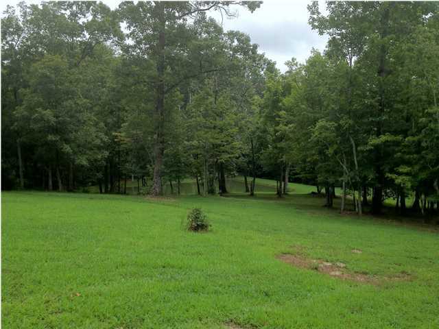 2524 Corral Road Signal Mountain, TN 37377 - Photo 5 of 12 Additional Photo