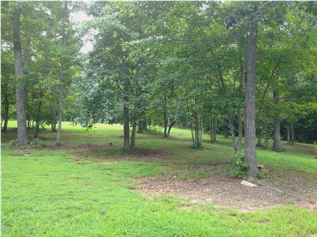 2524 Corral Road Signal Mountain, TN 37377 - Photo 7 of 12 Additional Photo