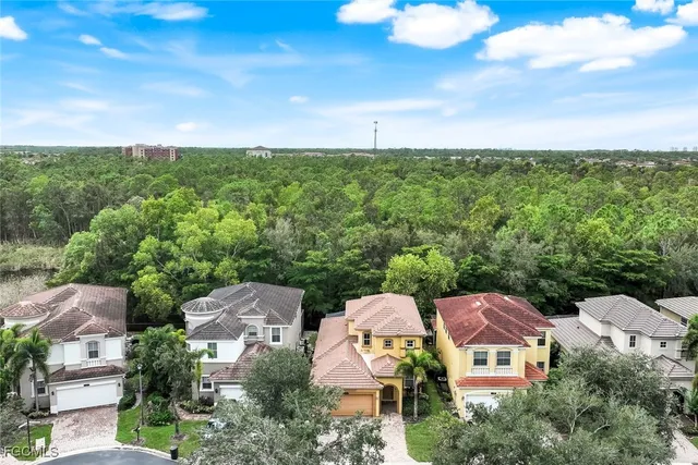 $419,900 | 10253 South Silver Palm Drive, Estero, FL 33928