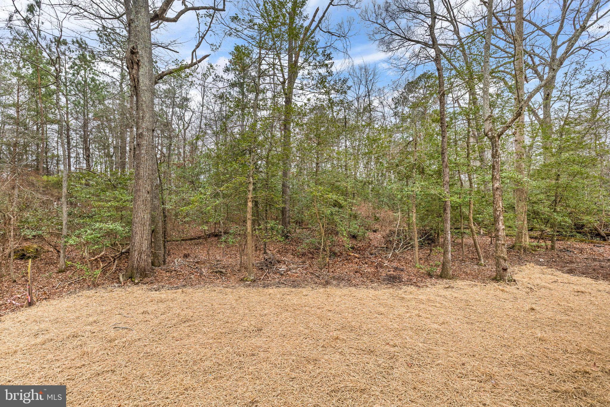 312 9th Street Colonial Beach, VA 22443 - Photo 25 of 59 a backyard of a house with lots of green space