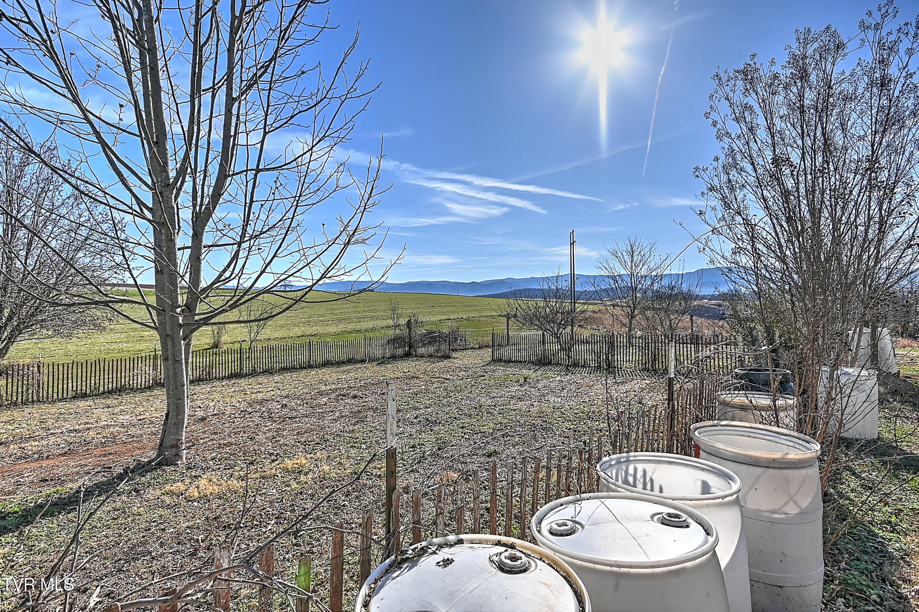 296 Davy Crockett Road Limestone, TN 37681 - Photo 52 of 75 296 Davey Crockett AP-53